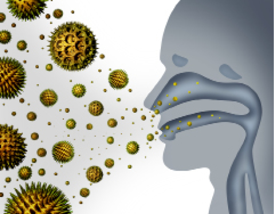 Seasonal and Perennial Allergies